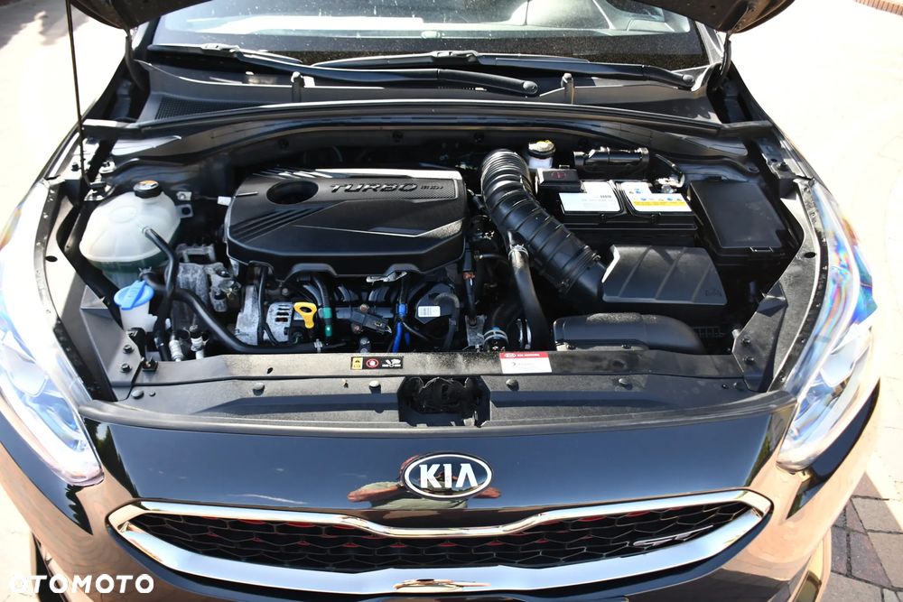 Kia ProCeed - 33