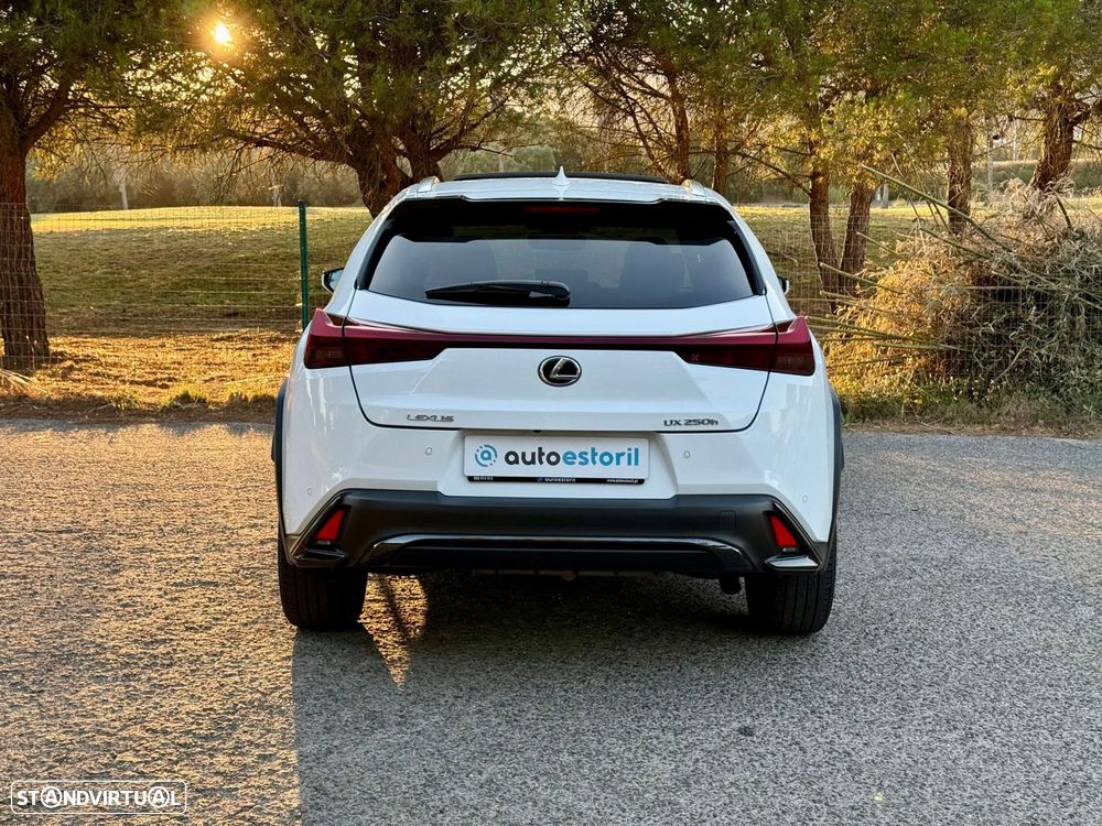 Lexus UX 250h F Sport - 9