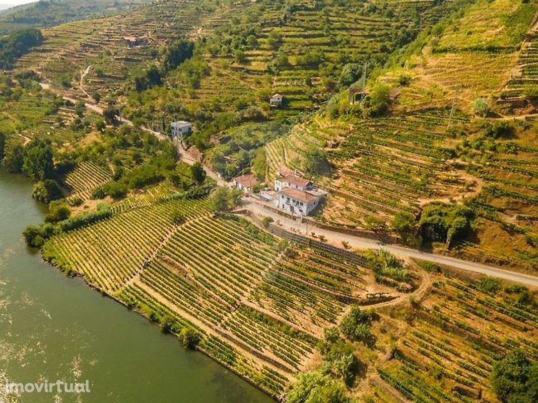 Quinta T5 para venda - Grande imagem: 2/24