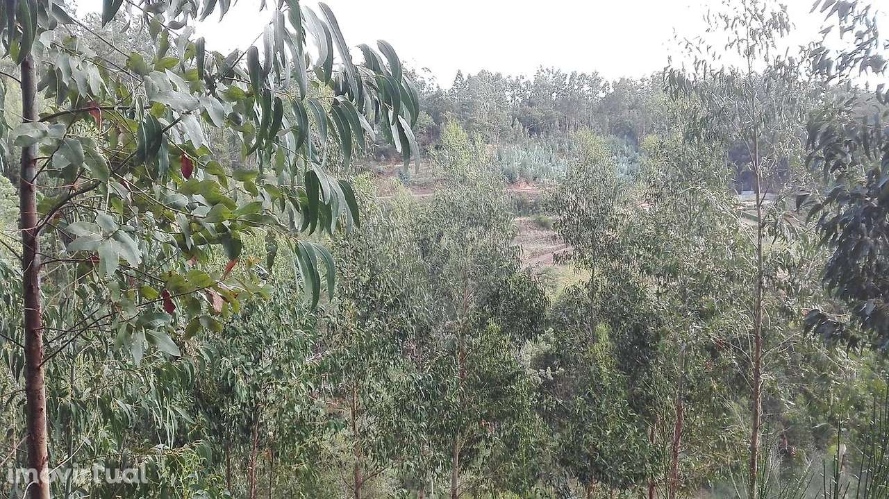 Terreno  para venda - Grande imagem: 5/16