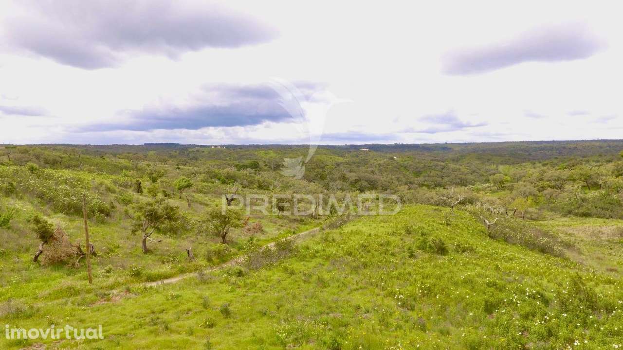 Terreno Rustico com 8.5 hectares - Grande imagem: 3/32