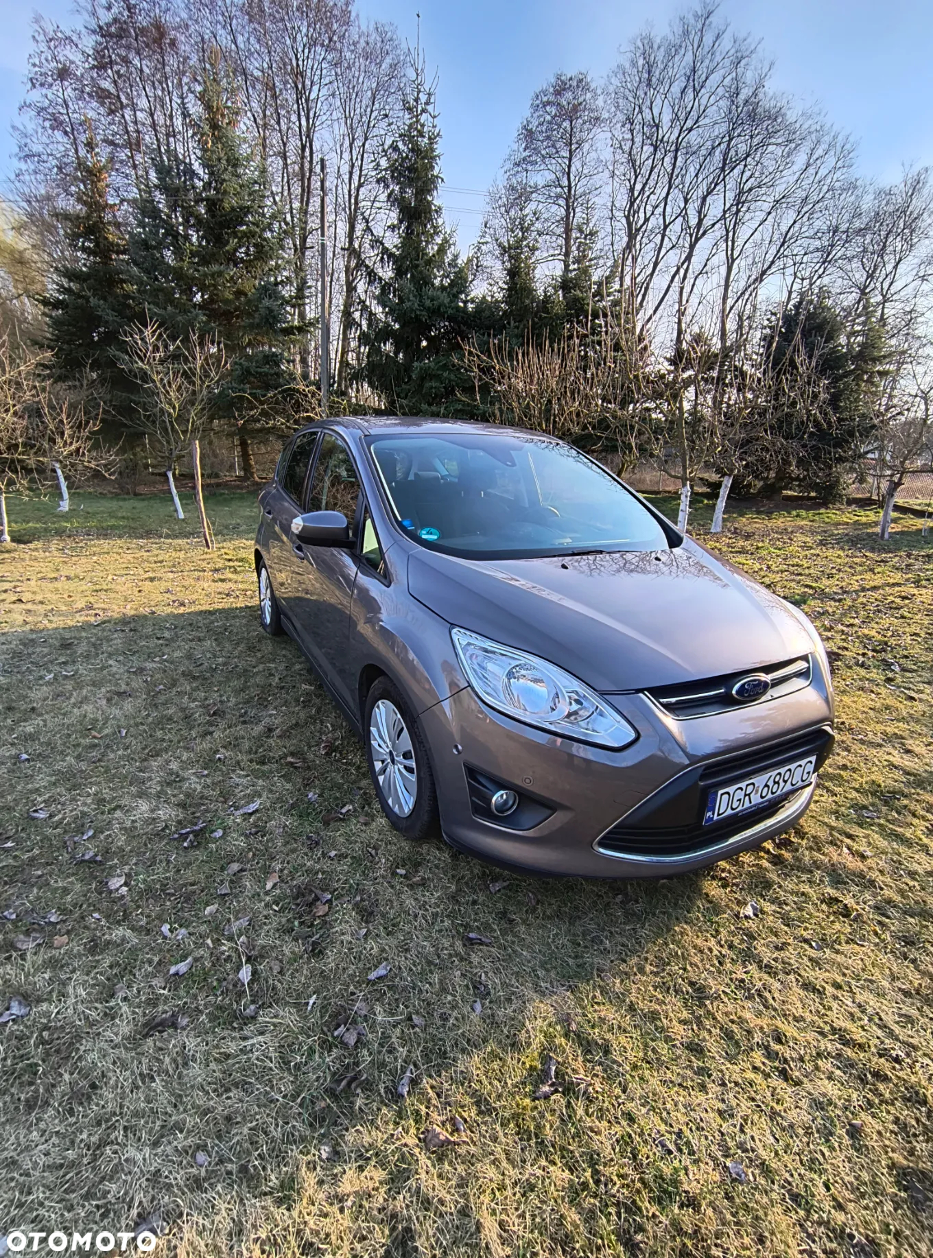 Ford C-MAX - 2