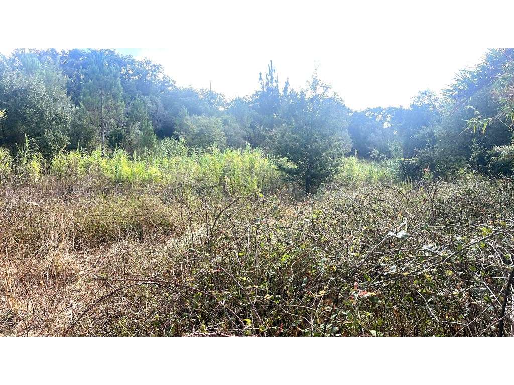 Lote de terreno rústico com 8.750 m2, no Freixial, Bucelas - Grande imagem: 2/18