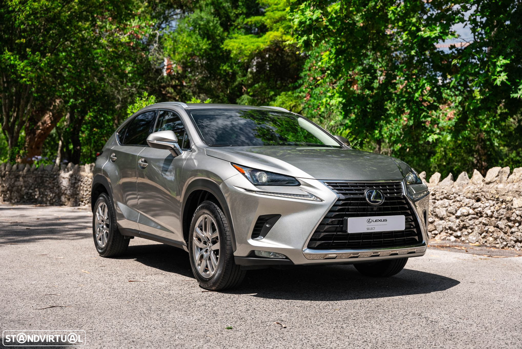 Lexus NX 300h - 10