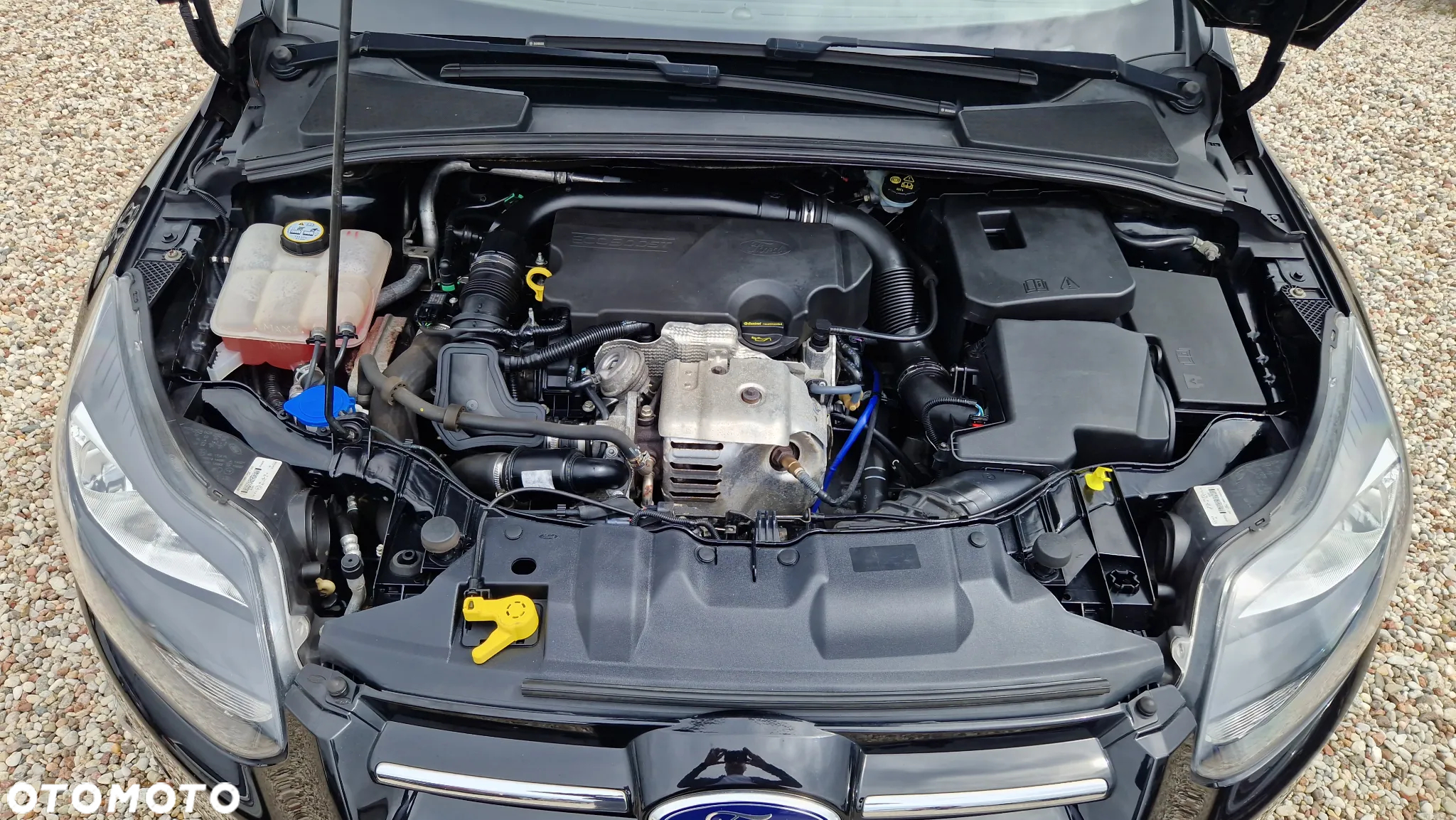 Ford Focus 1.0 EcoBoost Start-Stopp-System TITANIUM - 38
