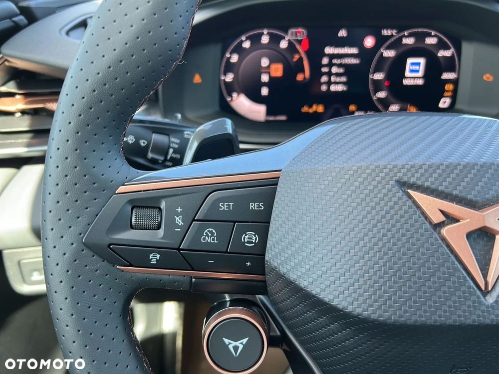 Cupra Terramar - 14