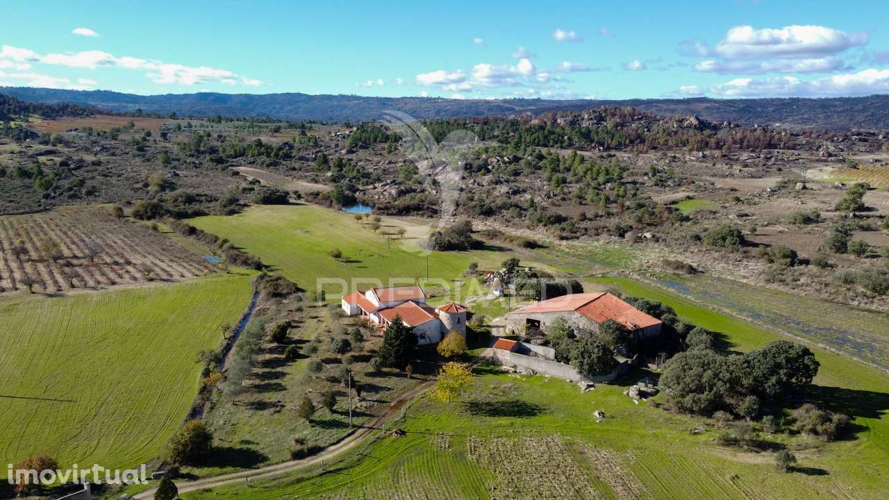 Quinta única com mais de 18 hectares junto a Marialva e ao Douro - Grande imagem: 3/27