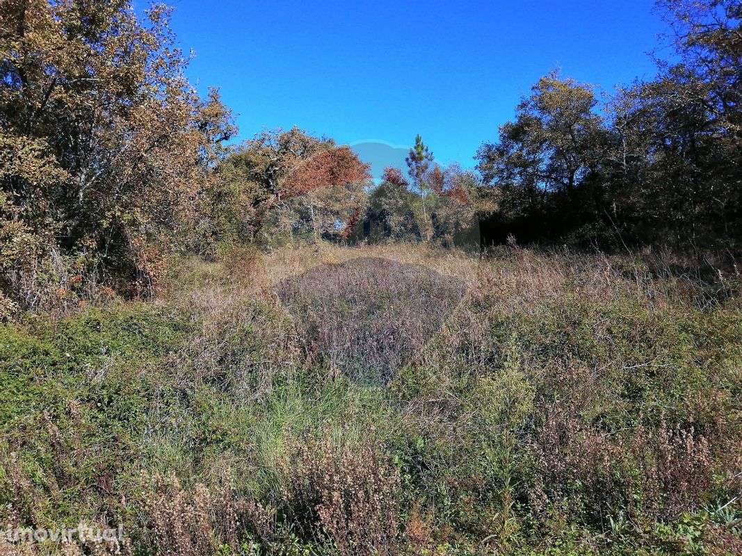 Terreno  para venda - Grande imagem: 4/6