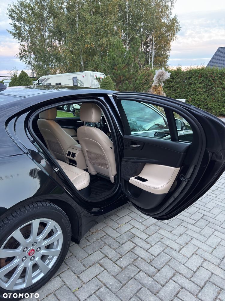 Jaguar XE - 9