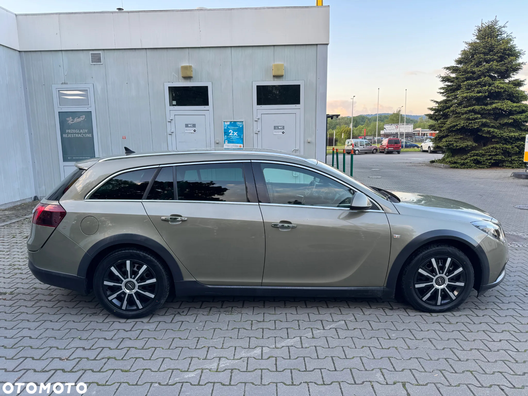 Opel Insignia 2.0 CDTI Cosmo 4x4 S&S - 27