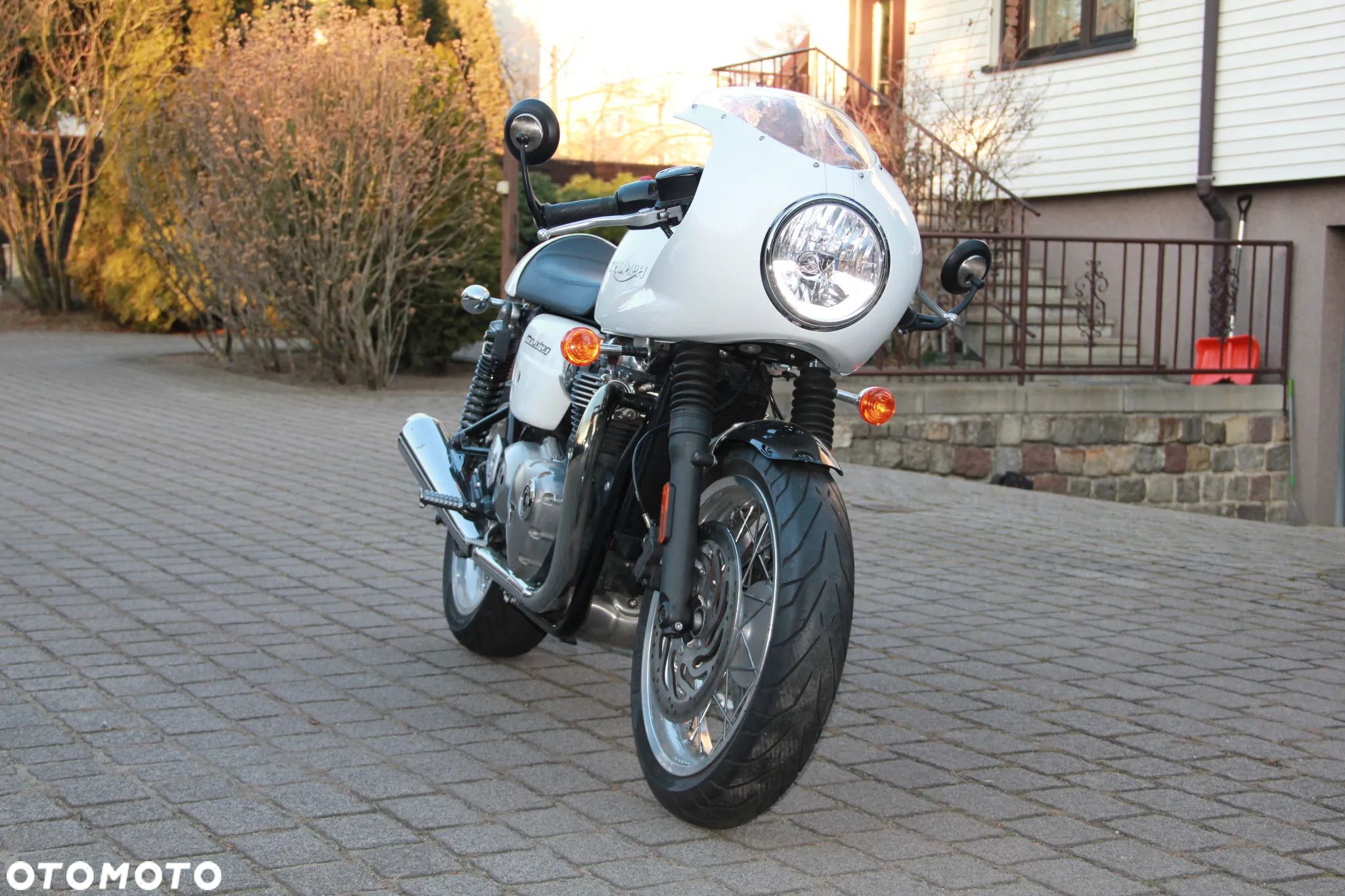 Triumph Thruxton - 1