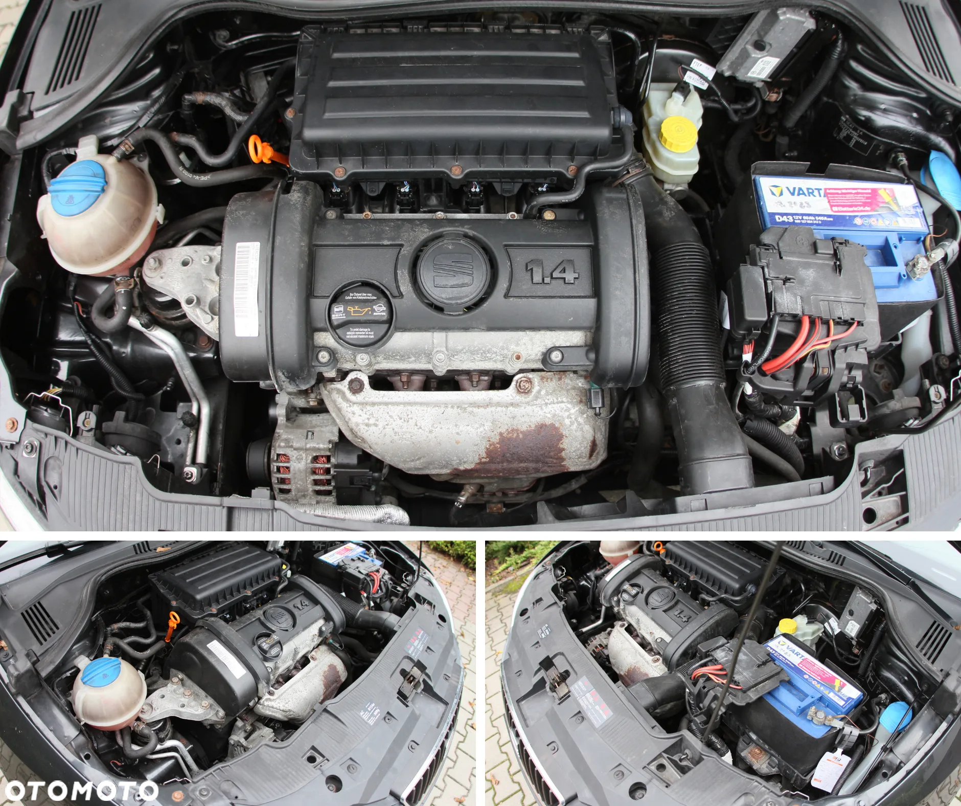 Seat Ibiza - 39