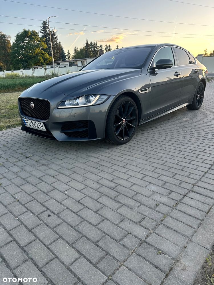 Jaguar XF 3.0 TDV6 R-Sport - 2