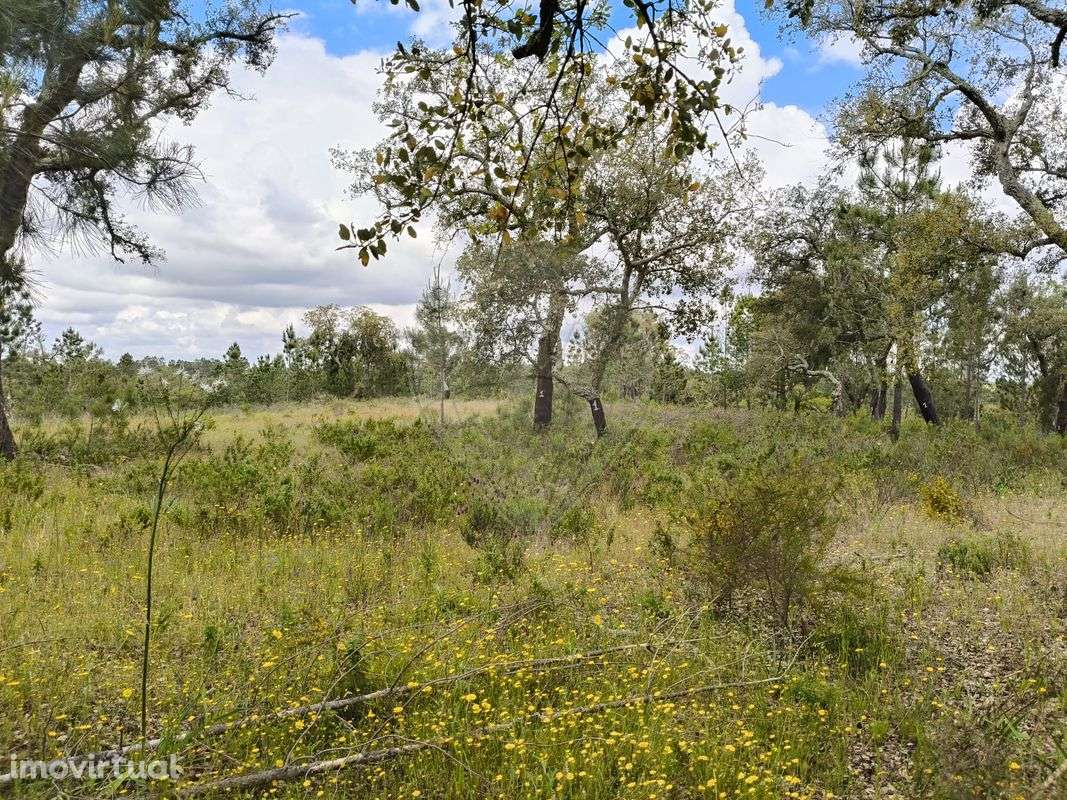 Terreno  para venda - Grande imagem: 4/15