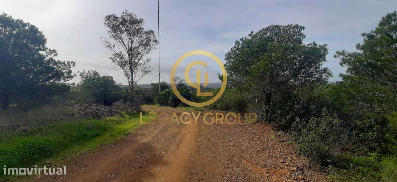 Terreno rústico de 5,3 hectares em Azinhal - Grande imagem: 2/15