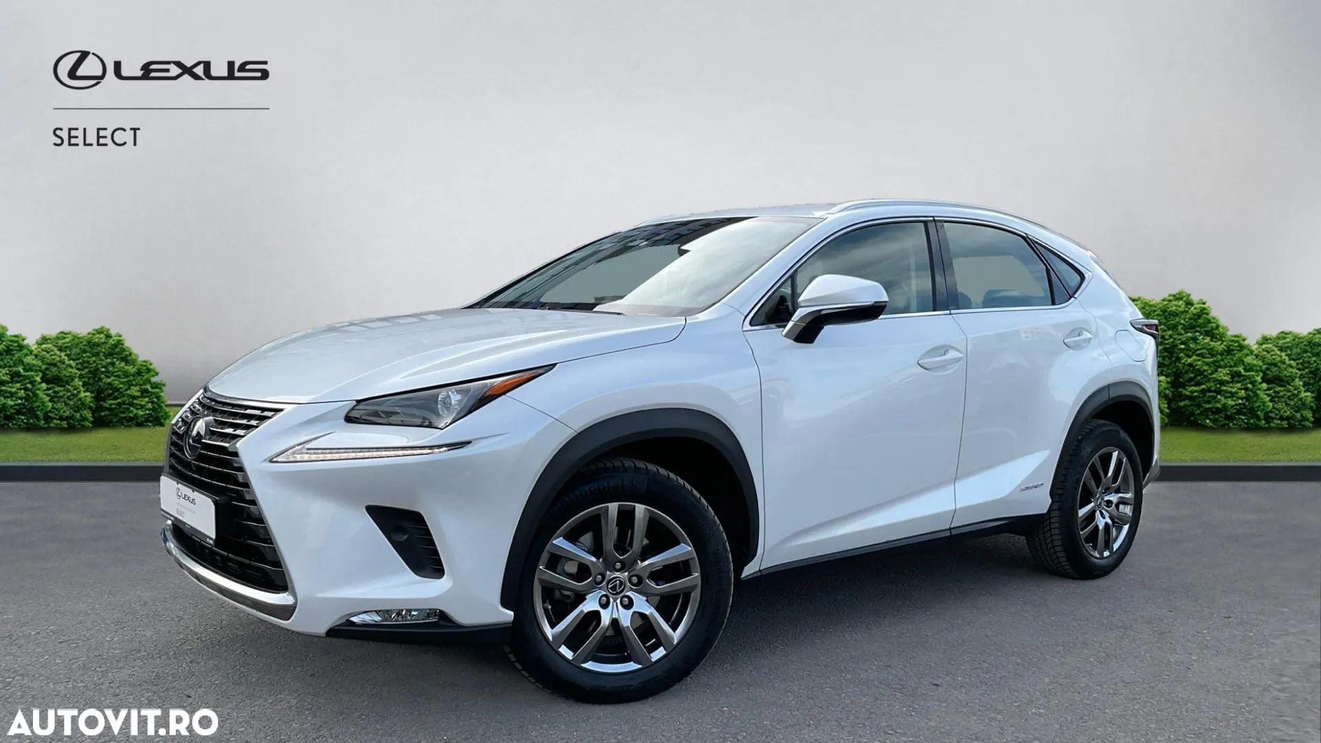 Lexus Seria NX 300h AWD Executive Plus - 1