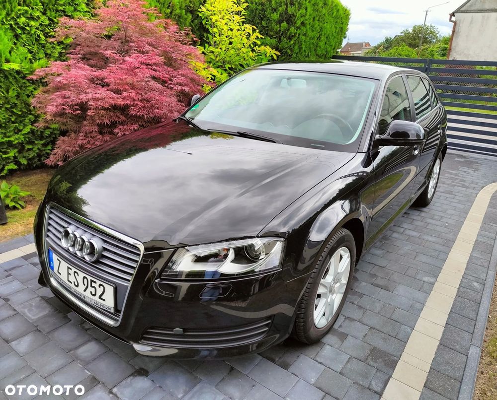 Audi A3 Sportback 1.6 Ambition - 3