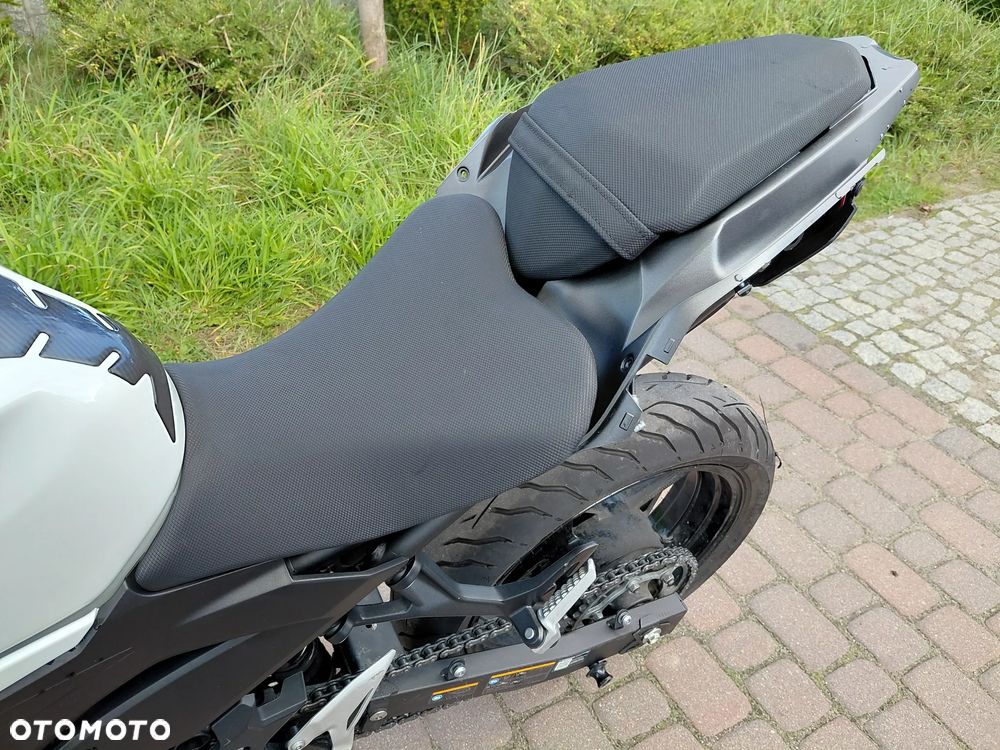 Kawasaki Z - 19