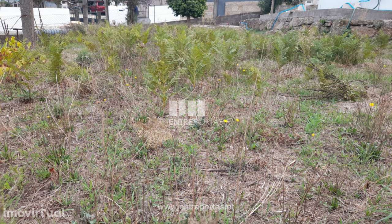 Venda Terreno, Várzea do Douro, Marco de Canaveses - Grande imagem: 3/36