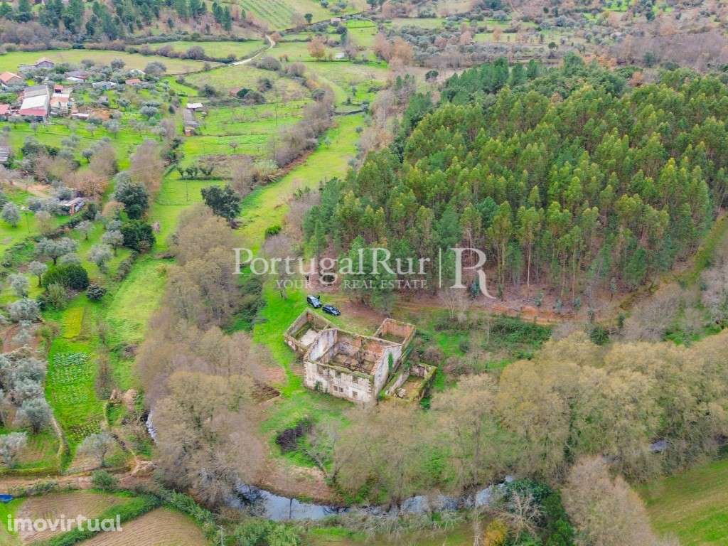 Quinta com 6ha e várias ruínas confinante com a ribeira - Grande imagem: 2/26