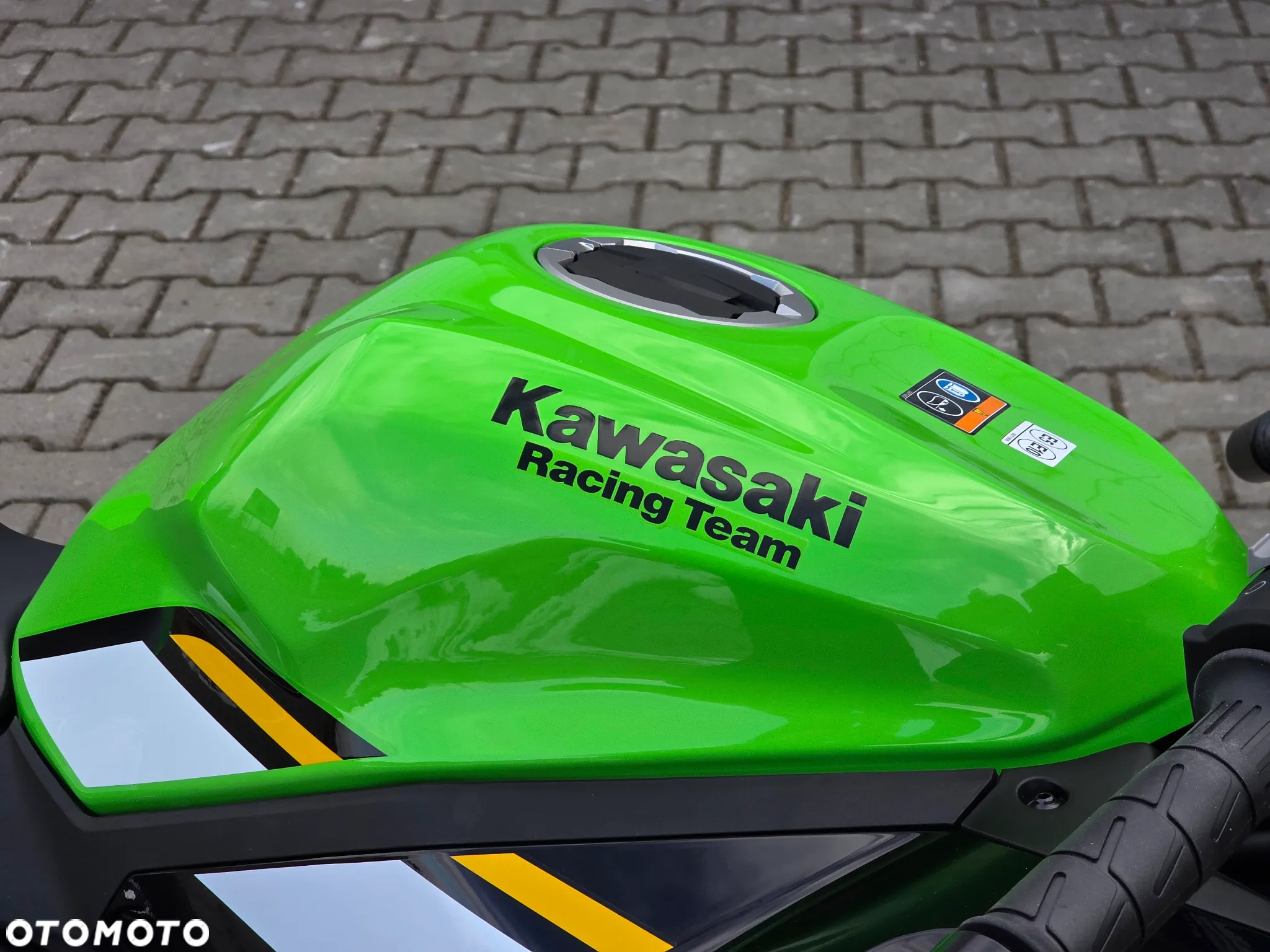 Kawasaki Ninja - 9