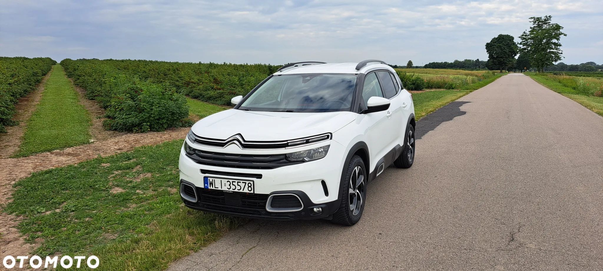 Citroën C5 Aircross 1.5 BlueHDi C-Series - 1