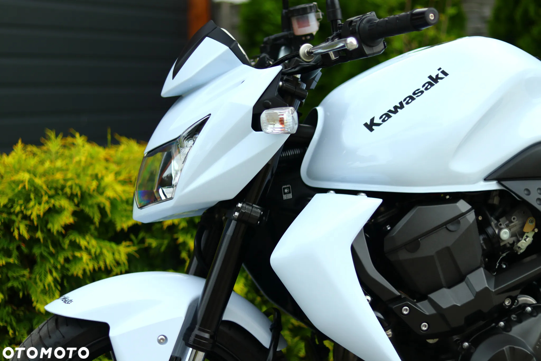 Kawasaki Z - 23
