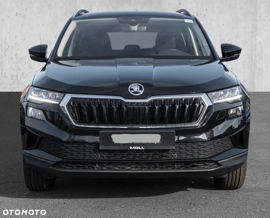 Skoda Karoq - 3