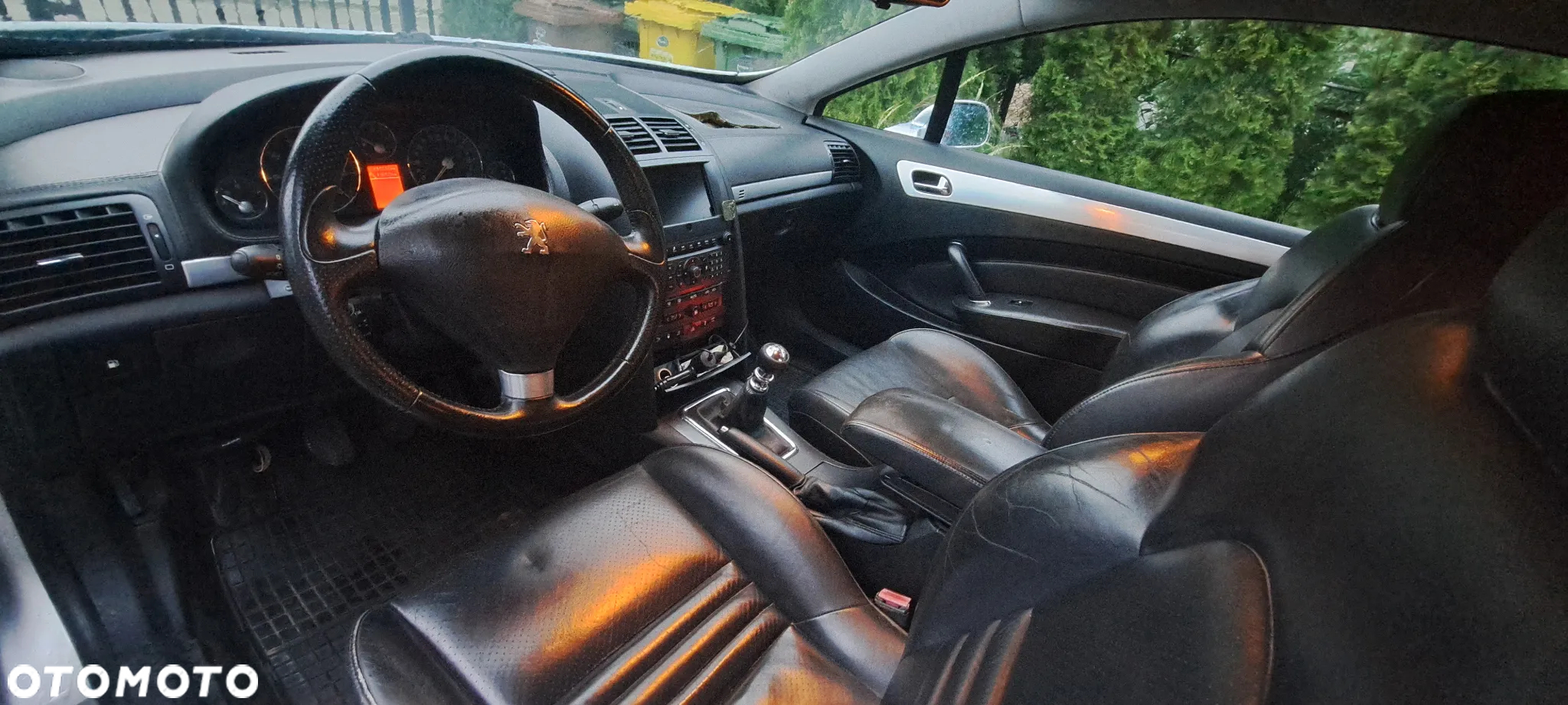 Peugeot 407 Coupe V6 210 Sport - 6