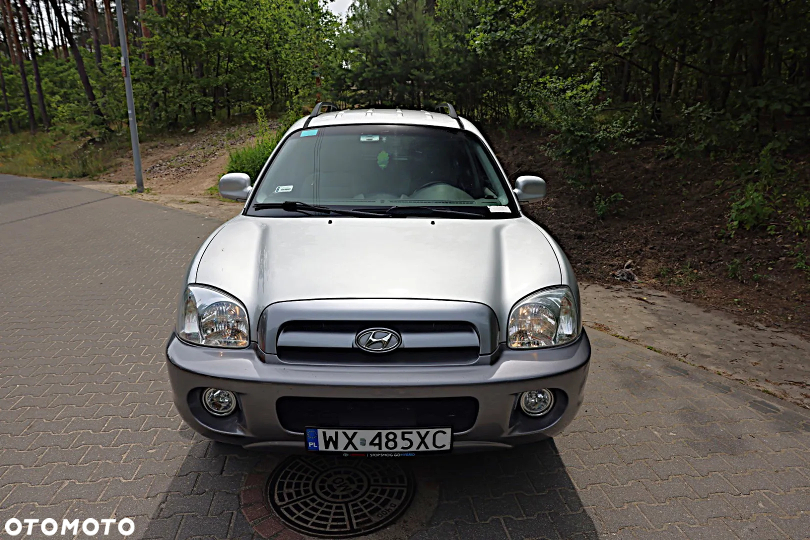 Hyundai Santa Fe 2.0 CRDi VGT GLS - 2