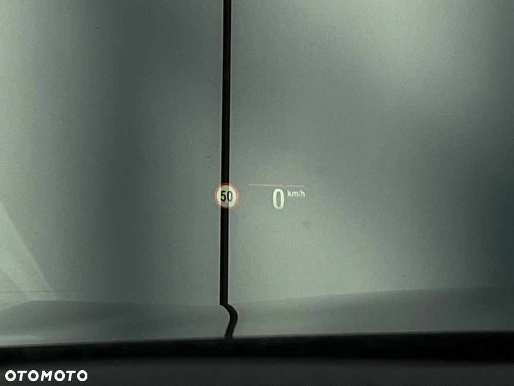 BMW Seria 5 530e Luxury Line - 19