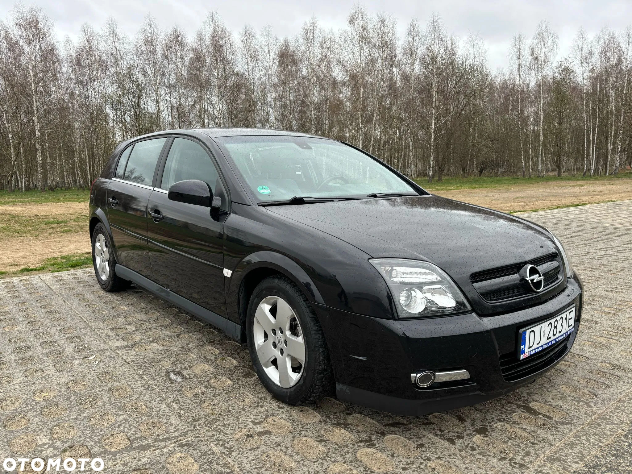 Opel Signum 2.2 Business Executive - 7