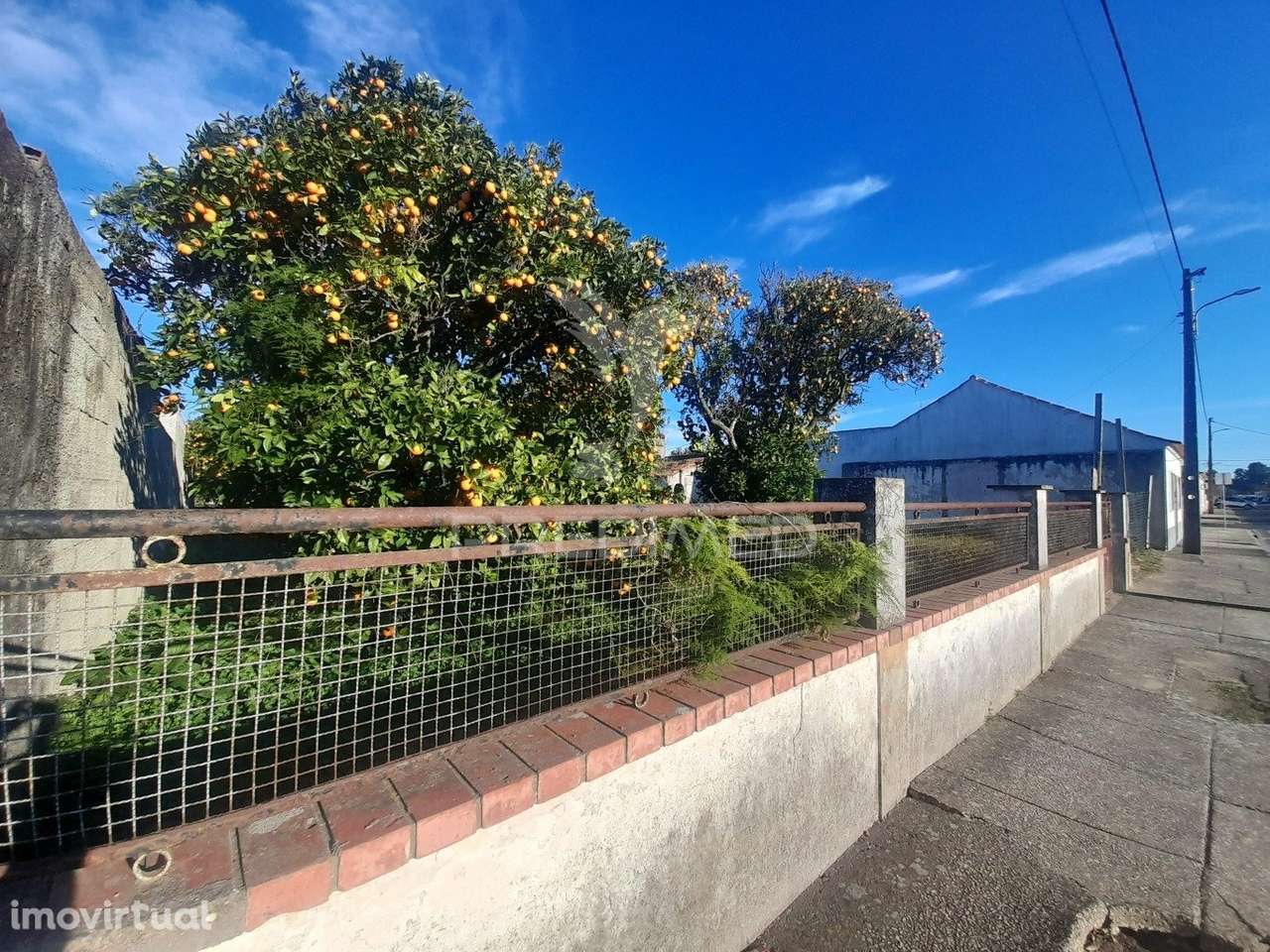 LOTE URBANO - Grande imagem: 2/17