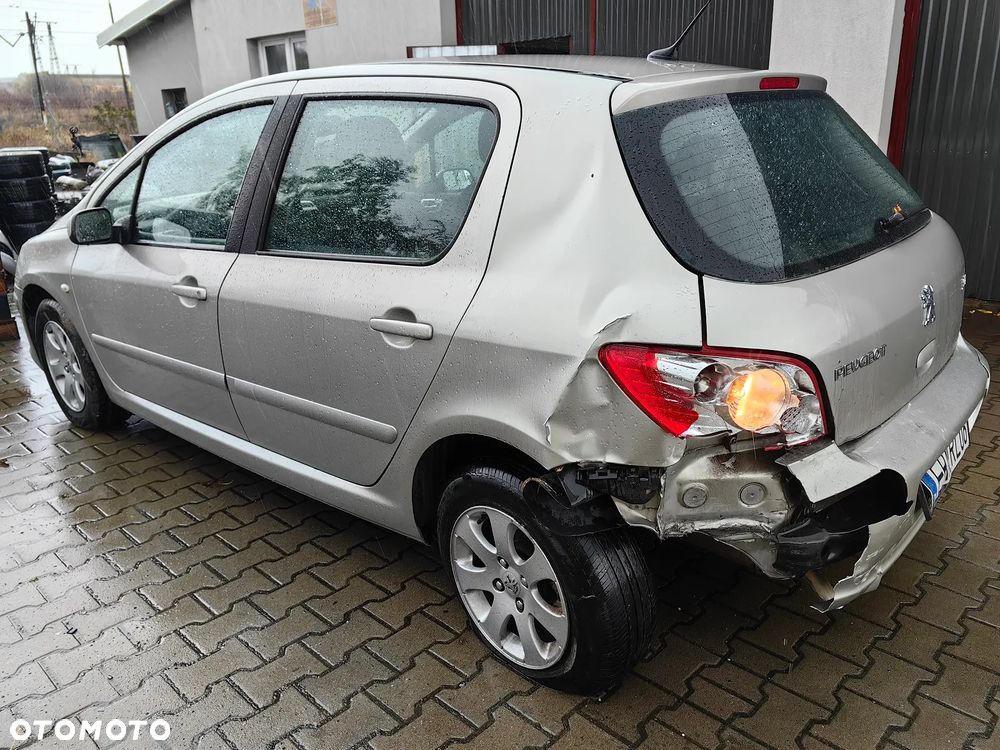 Peugeot 307 1.4 Presence - 8