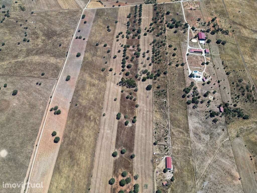 Terreno Misto com 4 Hectares e Armazém Licenciado a 5 Minutos de Monsa - Grande imagem: 5/14