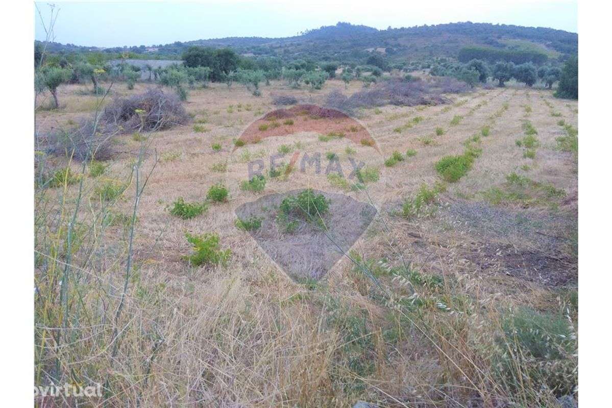 Terreno  para venda - Grande imagem: 4/4