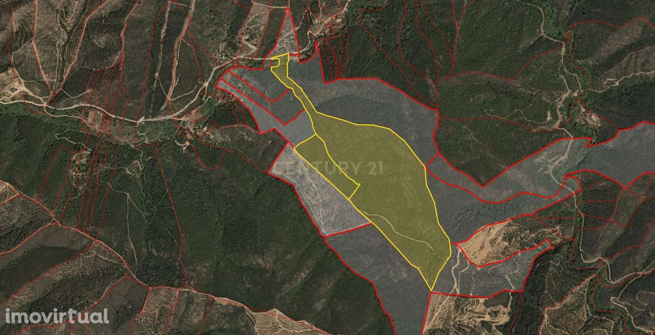Terreno Rústico com Ruína em Aljezur – 26,88ha de Natureza Pura com Ri - Grande imagem: 5/11