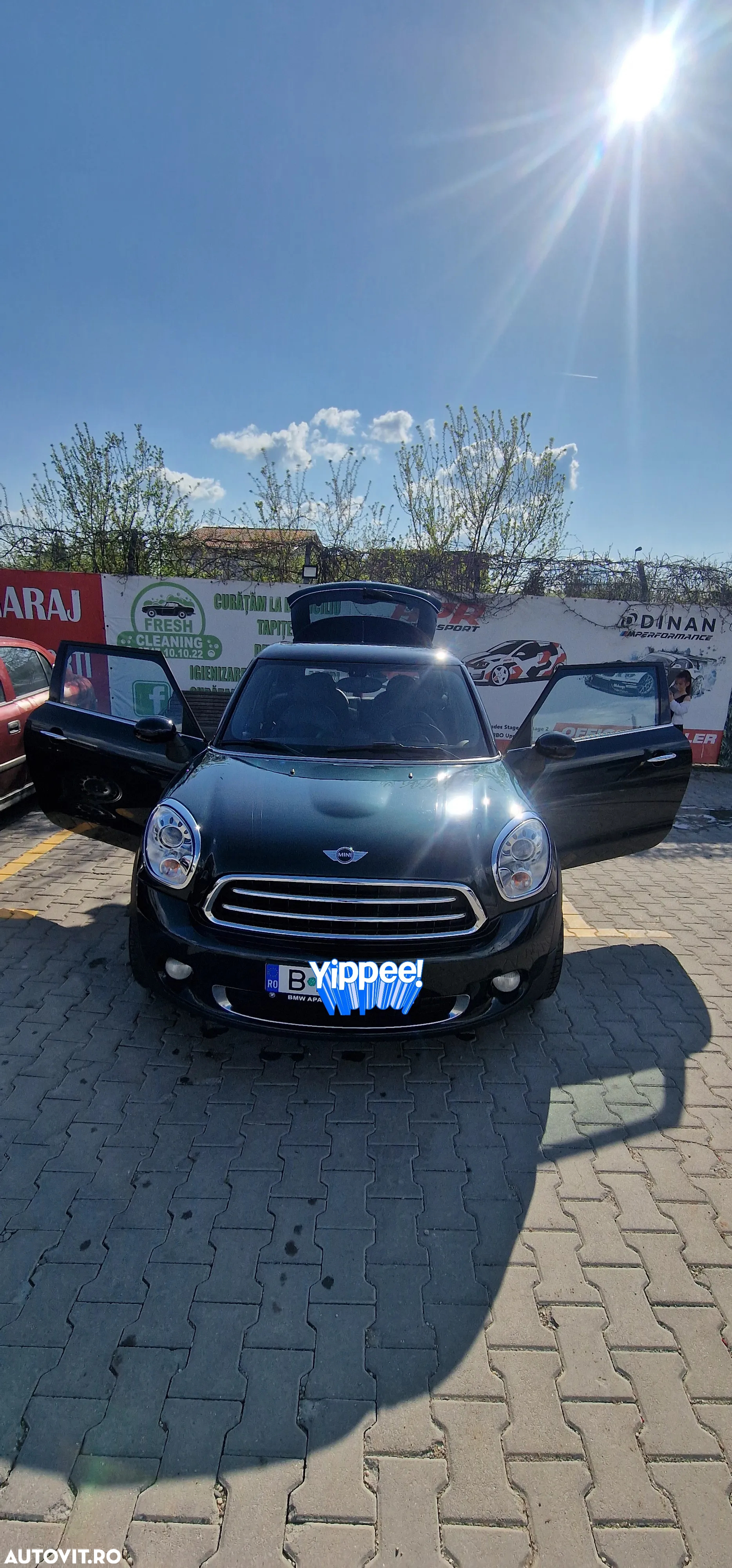 Mini Paceman - 6