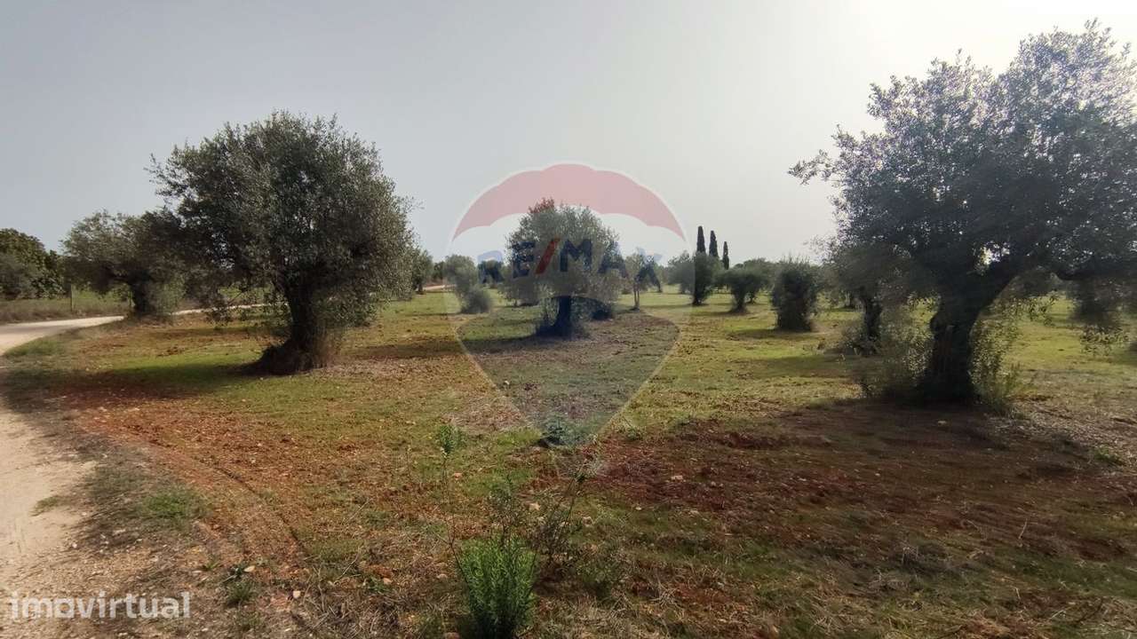 Terreno  para venda - Grande imagem: 3/10