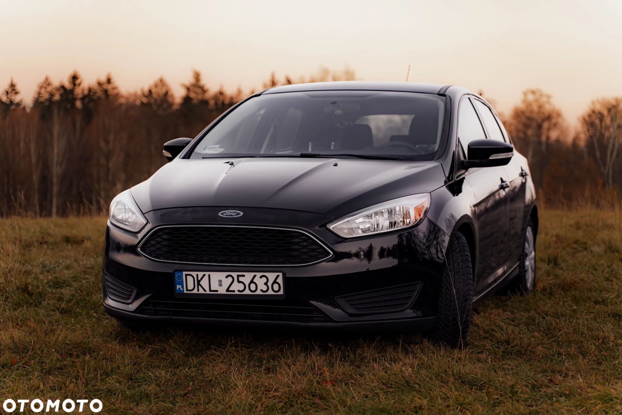 Ford Focus - 1
