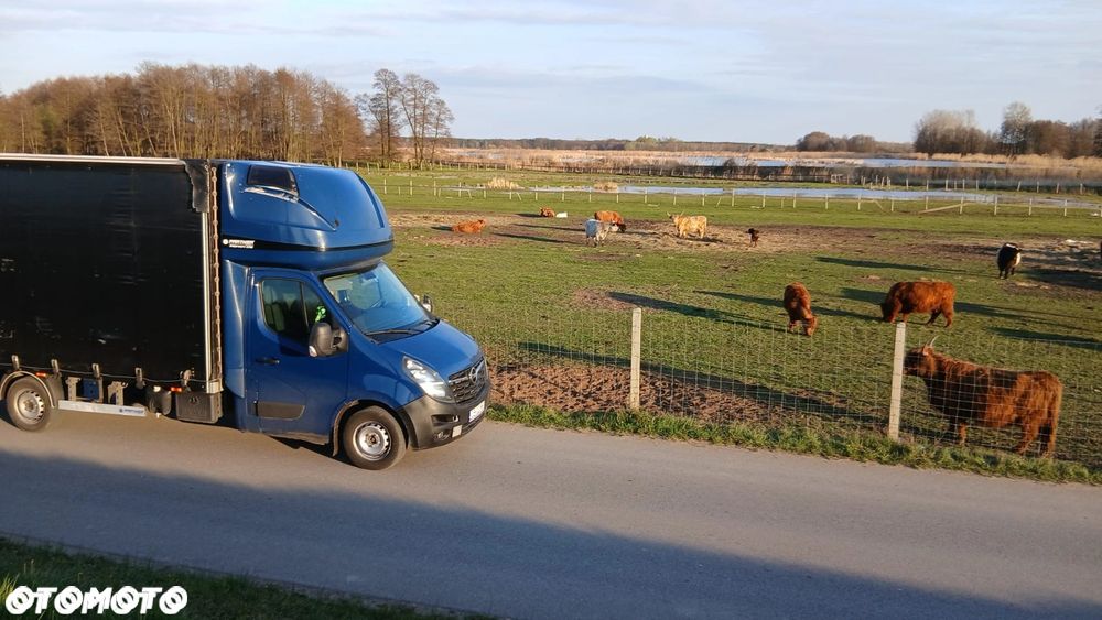 Opel Movano - 16
