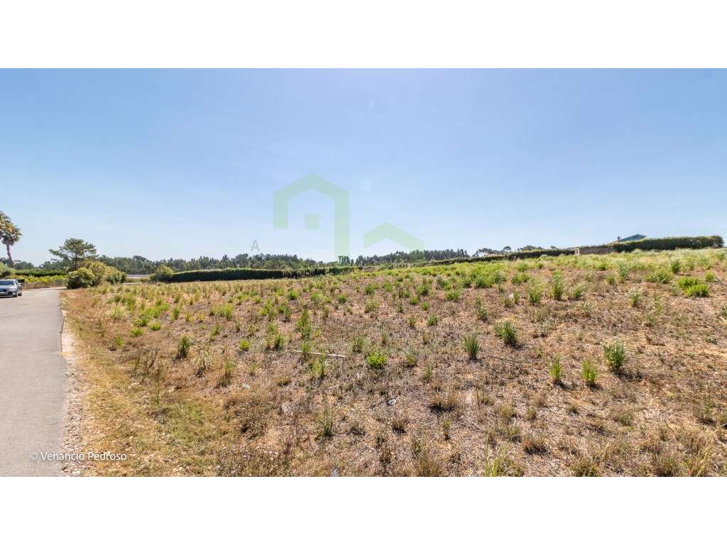 Terreno - Ericeira 4 km, A Casa das Casas - Grande imagem: 2/8