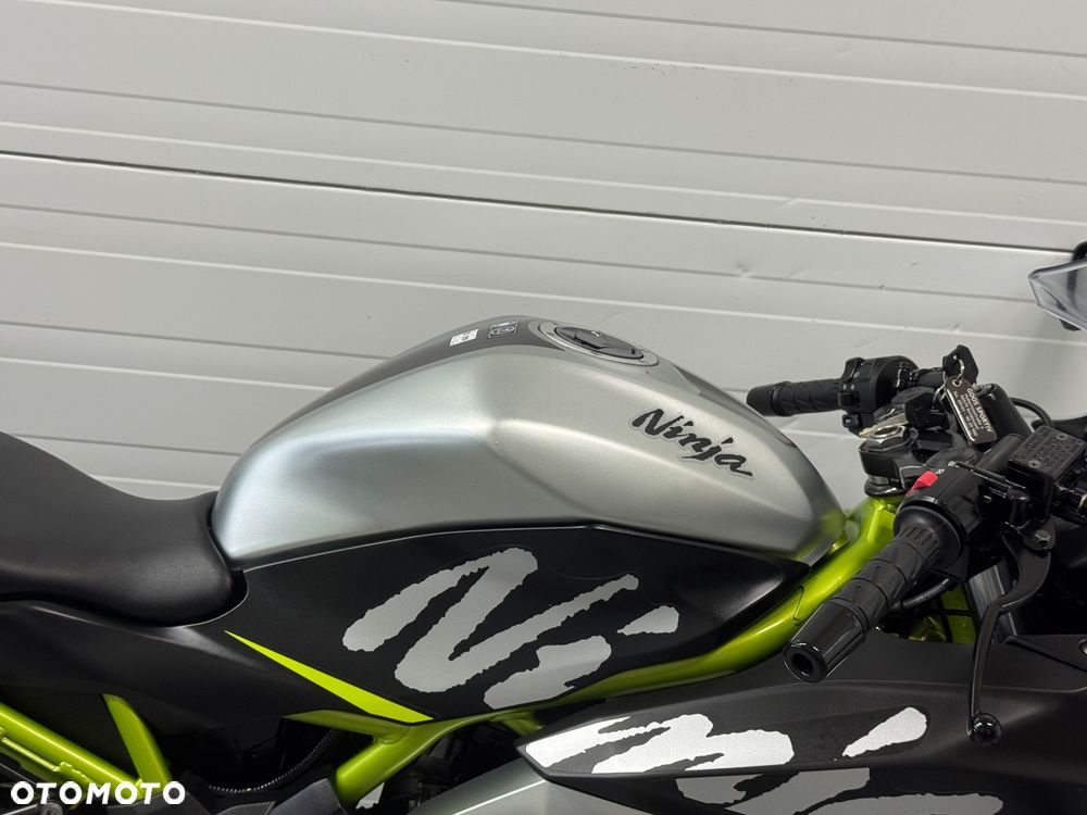 Kawasaki Ninja - 11