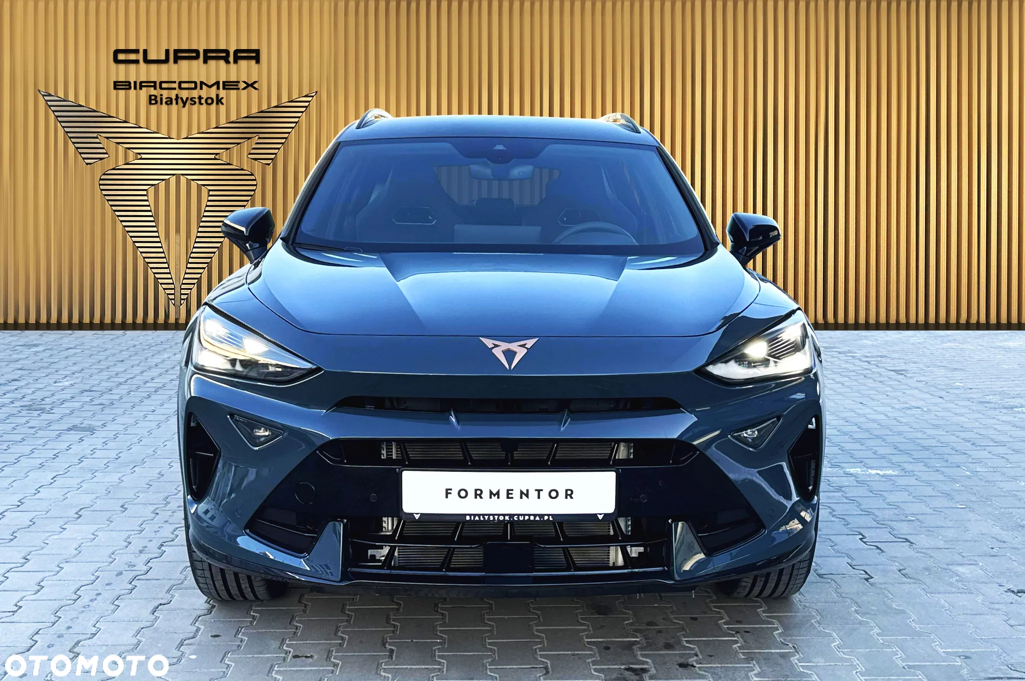 Cupra Formentor 2.0 TSI 4Drive DSG - 9