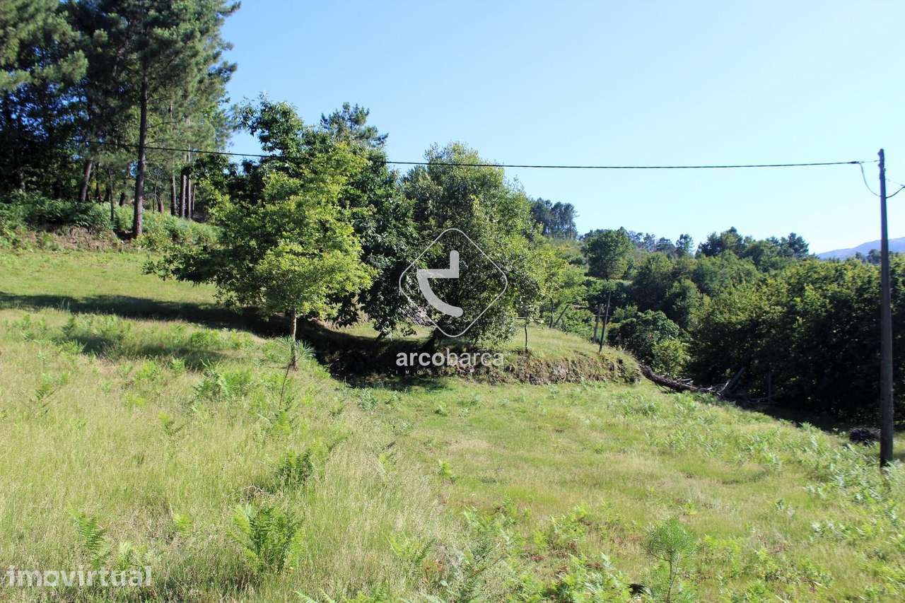Terreno Rustico - Grande imagem: 4/27