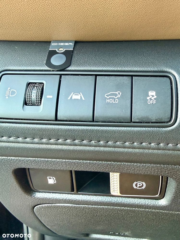 Hyundai Santa Fe 1.6 T-GDI PHEV Platinum 4WD - 34