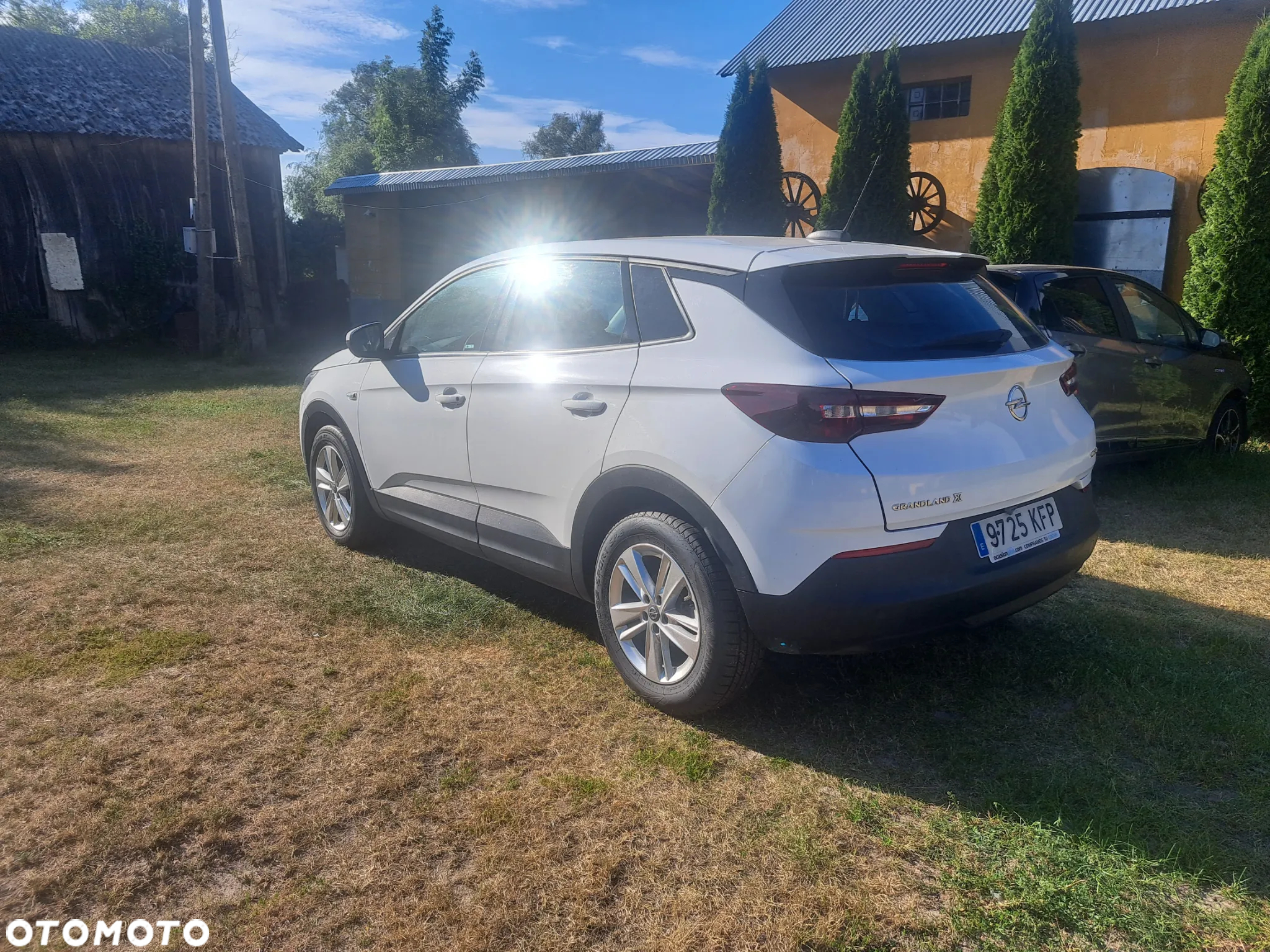 Opel Grandland X 1.6 CDTI Innovation S&S - 13