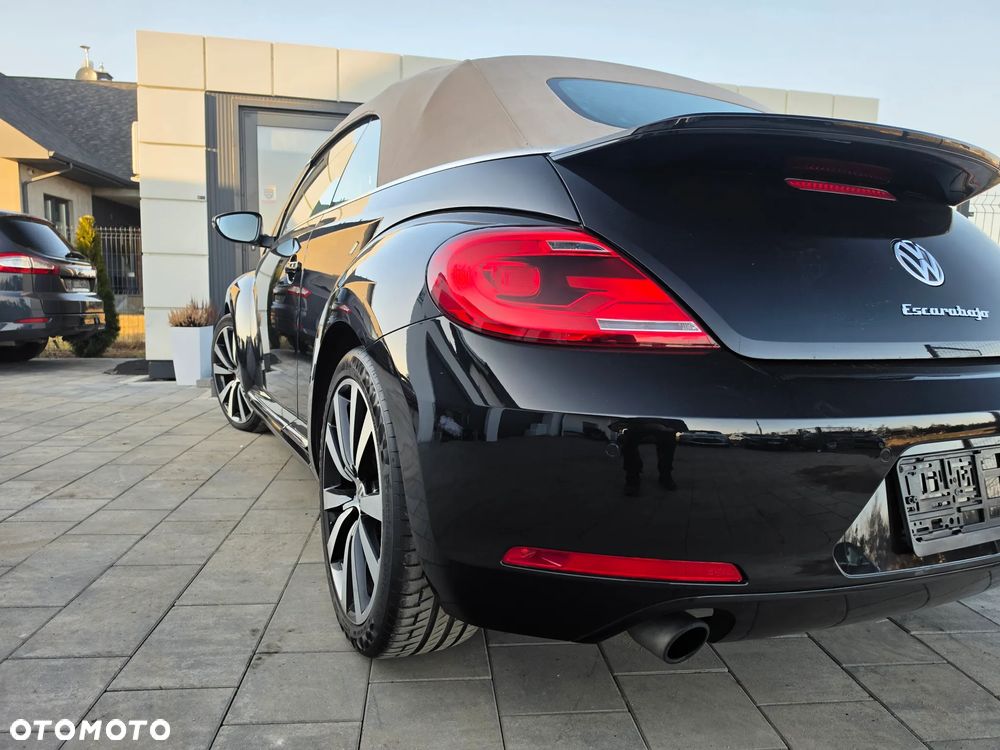 Volkswagen Beetle - 16