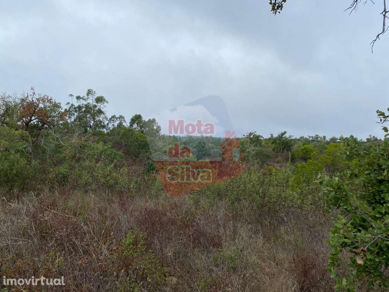 Terreno de 13.5ha em Santa Margarida da Serra - Grande imagem: 4/15