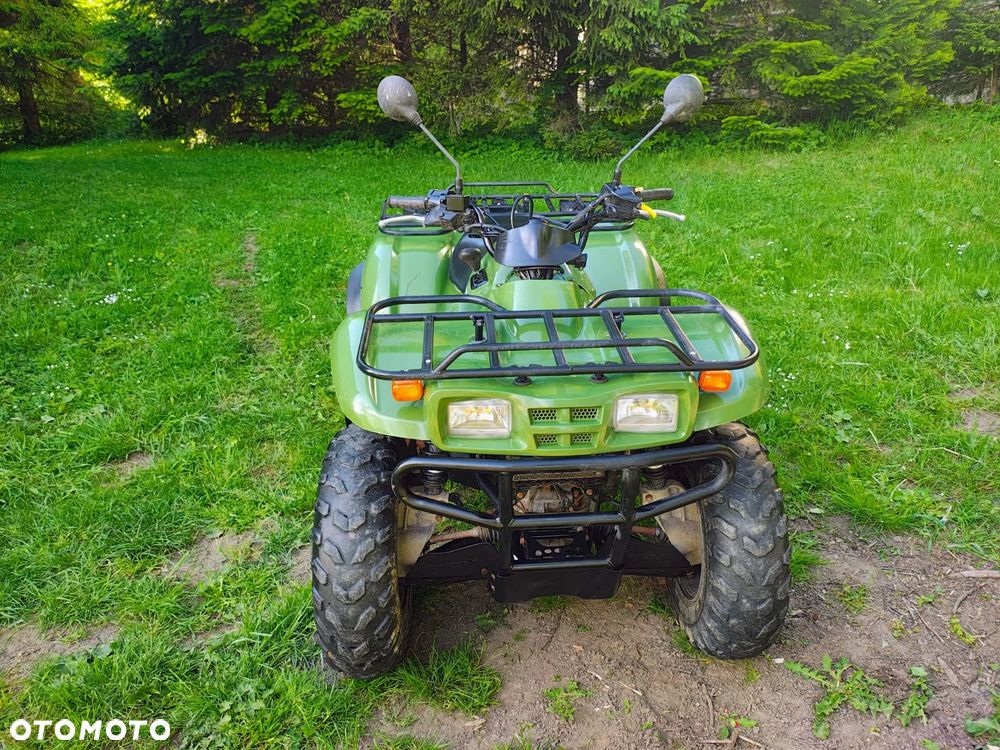 Kawasaki Brute Force - 1